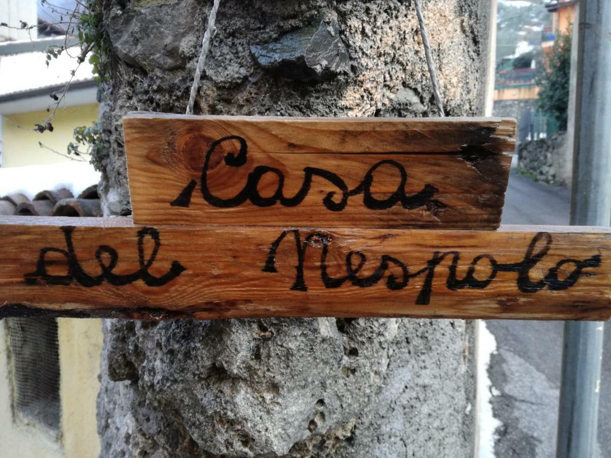 Casa del Nespolo Pilzone Exterior foto